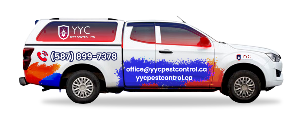 Pest Control Van