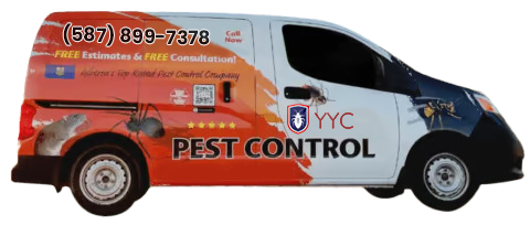 Pest Control Van